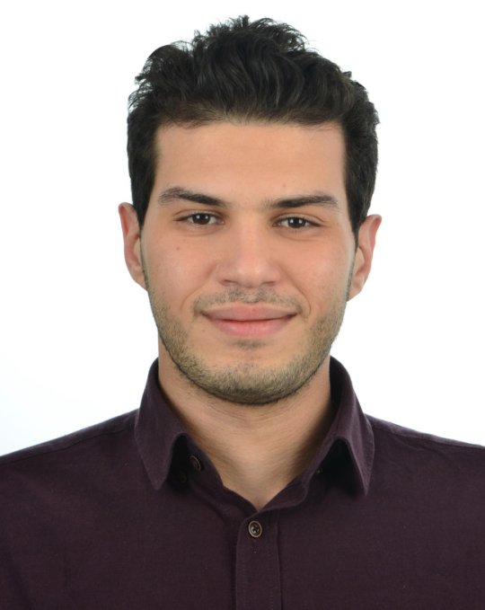 Elmasri Walid - English, Mathematics, Science tutor