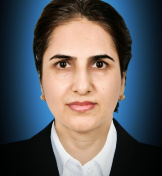 Naz Tallat - Informatics, Introduction to Computer Science, Computer Science tutor
