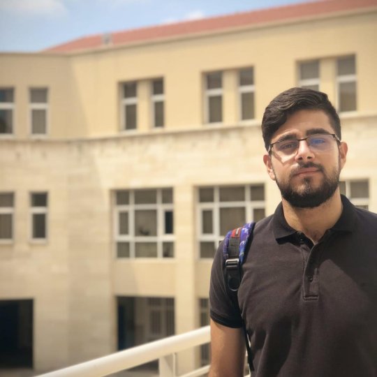 Mostapha Rayyan - Mathematics, Physics, Chemistry tutor