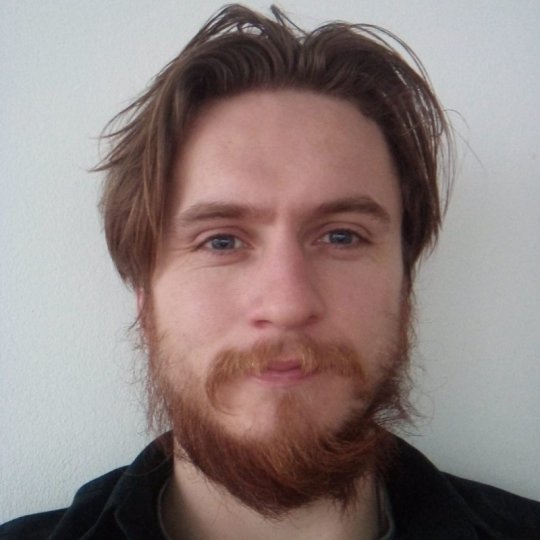 Harrison Liam - English, Spanish tutor