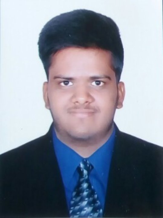 Chauhan Umang - Mathematics tutor