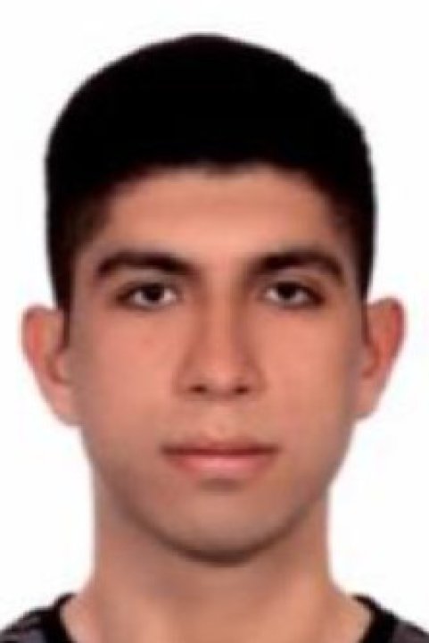 Akar Mert - Physics, German, Culture tutor
