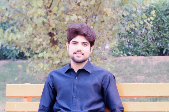 Rizwan Mohammad - Biology, Chemistry, English tutor