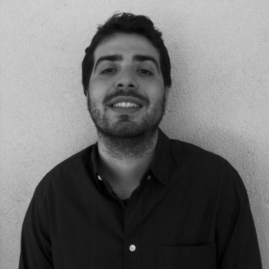 Lalos Vasilis - Mathematics tutor