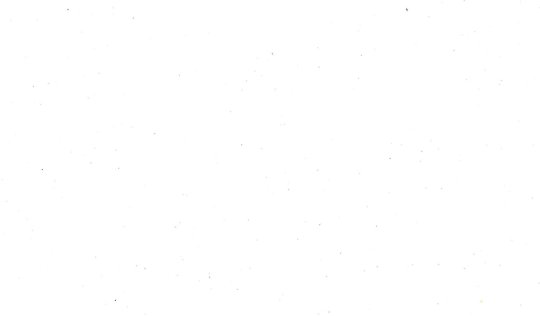 P - German, English tutor