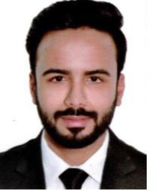 Maaz ullah Maaz ullah Sharif Syed - Accounting, Business Studies, Statistics tutor