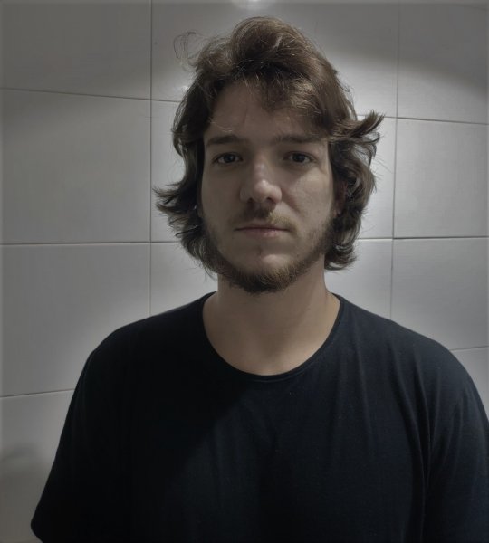 Felipe Martins de Almeida Morena Reis Luís - Physics, Mathematics tutor