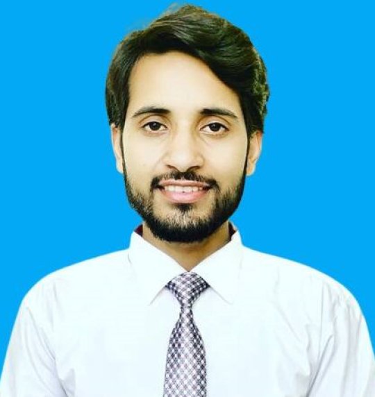 Raza Ali - Mathematics, English, Physics tutor