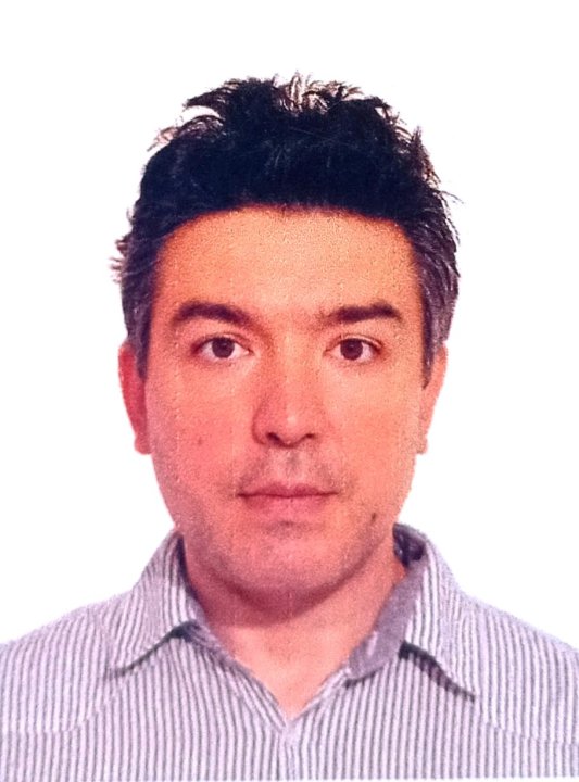 Placinta Dragos - Social Science, Journalism , Sociology, Mathematics, English tutor