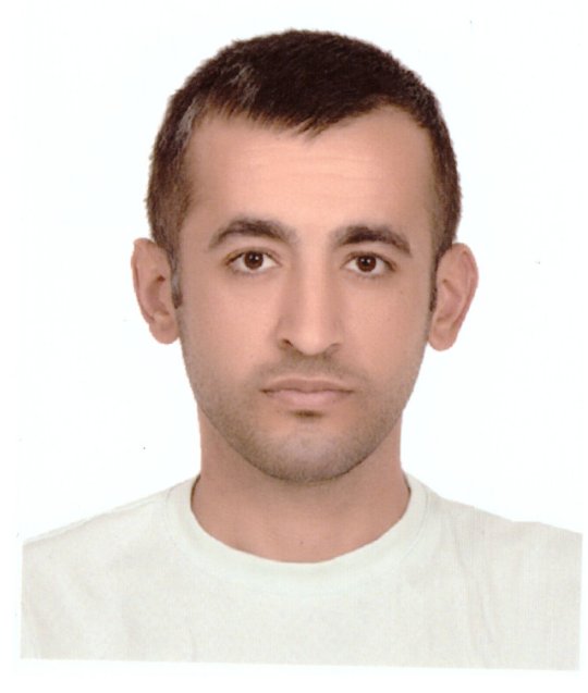 Ozturk Demhar - English, Art tutor