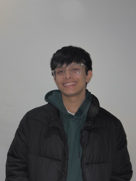 Aaryan - Mathematics, English, Physics tutor